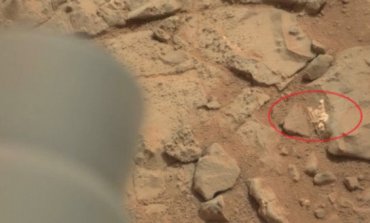 На Марсе обнаружили останки погибшего существа