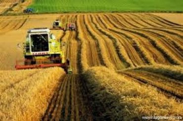 Аграрии Украины могут потерять налоговые льготы