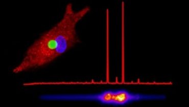 Ученые «вооружили» крошечными лазерами живые клетки