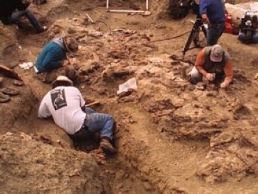 Под Львовом обнаружили уникальную археологическую находку