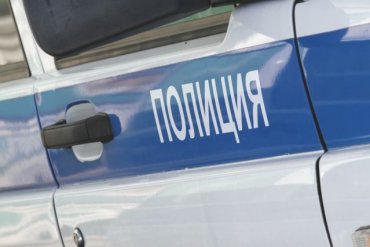В Петербурге ловца покемонов увезли в полицию в наручниках