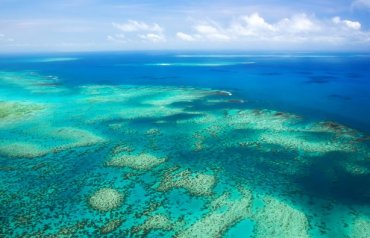 Большой барьерный риф исключили из списка объектов, которым грозит уничтожение