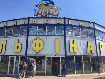 Суд арестовал киевский дельфинарий «Немо»