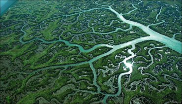 Ученые подсчитали общую площадь всех рек на Земле