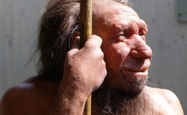 Ученые обнаружили, почему вымерли предки людей
