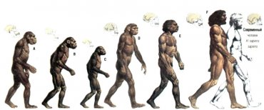 Ученые нашли ключ к пониманию эволюции человека