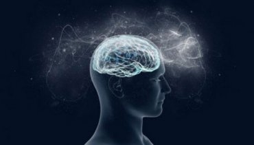 Ученые рассказали новые факты о человеческом мозге