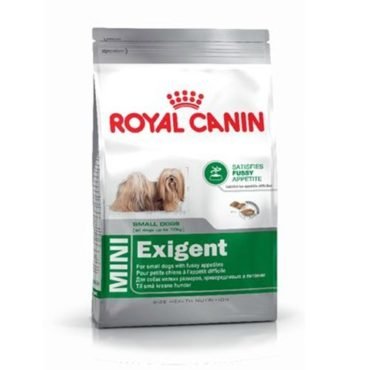 Роял Канин для собак – корм супер-премиум класса по доступной цене