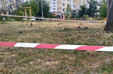 Полковника СБУ в Киеве убили случайные «гопники»