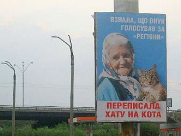 Губернатору Днепропетровской области не понравились оппозиционные бабушка и кот