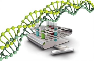 Биологи напечатали книгу на молекуле ДНК