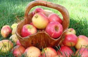Православные и греко-католики сегодня празднуют яблочный Спас