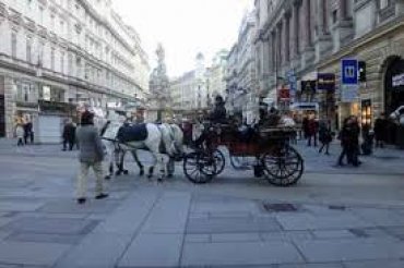 5 основных туристических ошибок в Вене