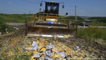 В России за сутки уничтожены почти 320 тонн продуктов