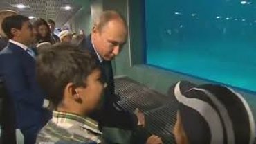 Во время визита Путина в океанариум мальчик поинтересовался у президента: «Как там на Украине?»