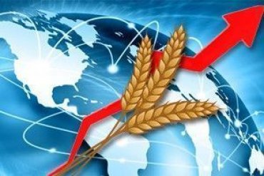 Украина — третья в мире по экспорту зерна