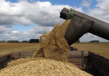 Реформы сделали Украину крупным экспортером зерна