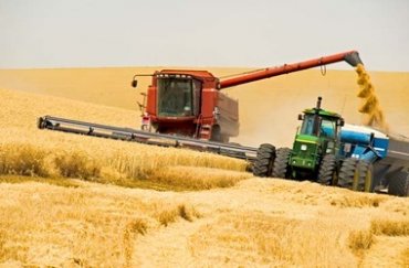 Иран заинтересован в закупке украинского зерна