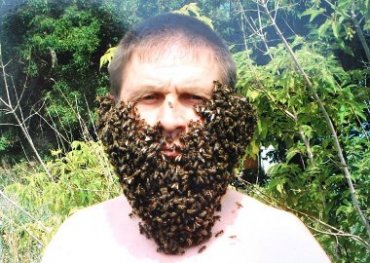 Российские пчеловоды требуют заменить «Баунти» и «Сникерс» медом и прополисом