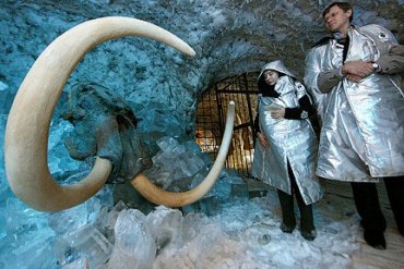 В Якутии собираются клонировать вымерших мамонтов