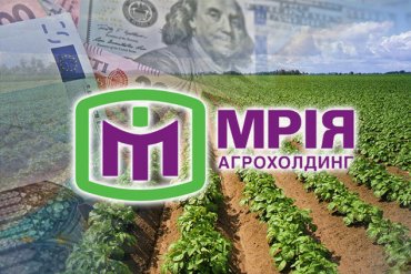 СМИ узнали об офшорных партнерах гендиректора «Мрии» Агрохолдинг