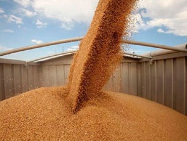 Кто больше всего экспортирует пшеницу из Украины