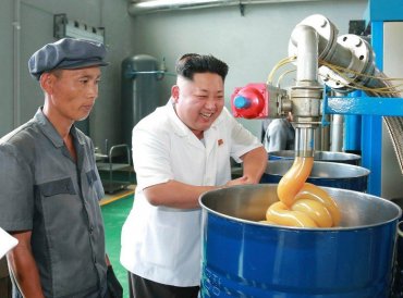 Ким Чен Ын приказал корейцам съесть всех собак