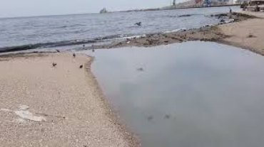Возле крымских пляжей плавают фекалии