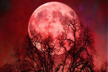 Над Россией ночью взойдет красная луна