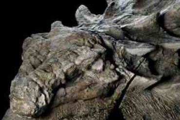 Ученые назвали «динозавра Франкенштейна» потерянным звеном эволюции