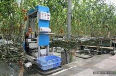 В Японии тестируют роботов для сбора томатов