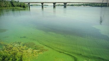 Осторожно: цветущие воды Днепра опасны для здоровья
