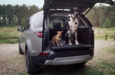 Внедорожники Land Rover будут оснащать душем для собак