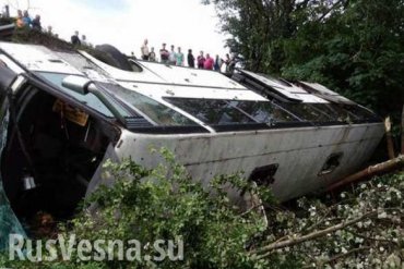 Под Новороссийском рейсовый автобус упал с обрыва