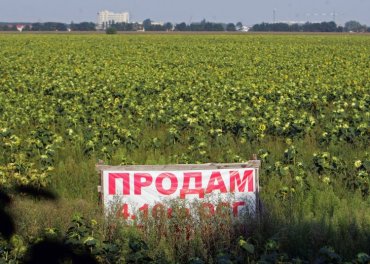 Земельную реформу в Украине начнут уже в этом году