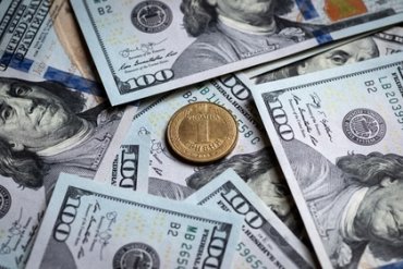 Украинцы просят Зеленского сделать доллар национальной валютой