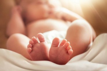 Документы новорожденным можно оформить не вставая с дивана: как воспользоваться сервисом
