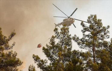 Турция локализовала более 100 лесных пожаров