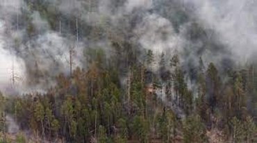 Впервые в истории Северный полюс накрыло дымом от лесных пожаров