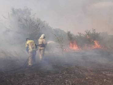 У Ростовській області Росії пожежа продовжує розростатися: людей масово евакуюють