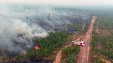 У Рязанській області площа лісових пожеж швидко розростається: вогонь йде на Москву