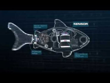 Созданы рыбы-микророботы, которые смогут очищать организм изнутри