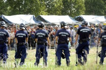 Полиция Венгрии применила слезоточивый газ против мигрантов