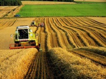 Маленькие фермерские хозяйства Украины получат поддержку правительства