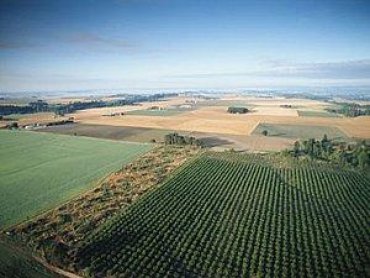 Бизнес Украины выступил за открытие рынка сельхозземель