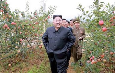 Ким Чен Ын поехал кушать «яблоки вдохновения» подальше от суеты