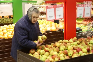 Россия купила «белорусских яблок» в пять раз больше, чем выросло в Беларуси