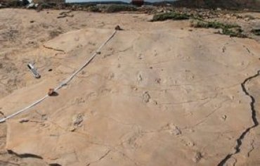 Ученые обнаружили невероятно древние следы человека