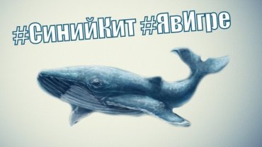 Очередные жертвы «Синего кита» – задержан куратор «групп смерти»