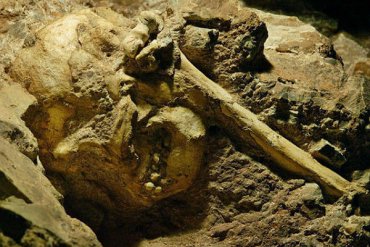 Скелет маленького мальчика помог ученым выяснить тайну происхождения человека